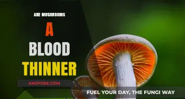 Mushrooms: Natural Blood Thinners?
