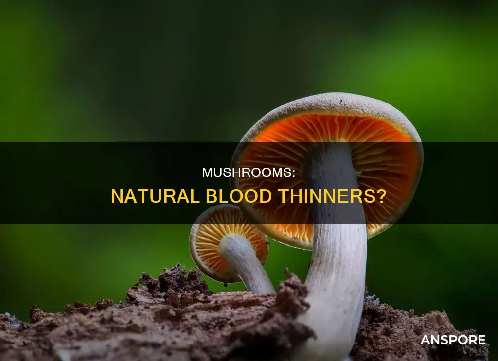 are mushrooms a blood thinner