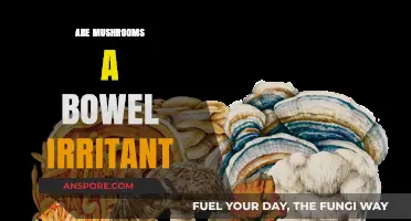 Mushrooms: Friend or Foe to Your Gut?