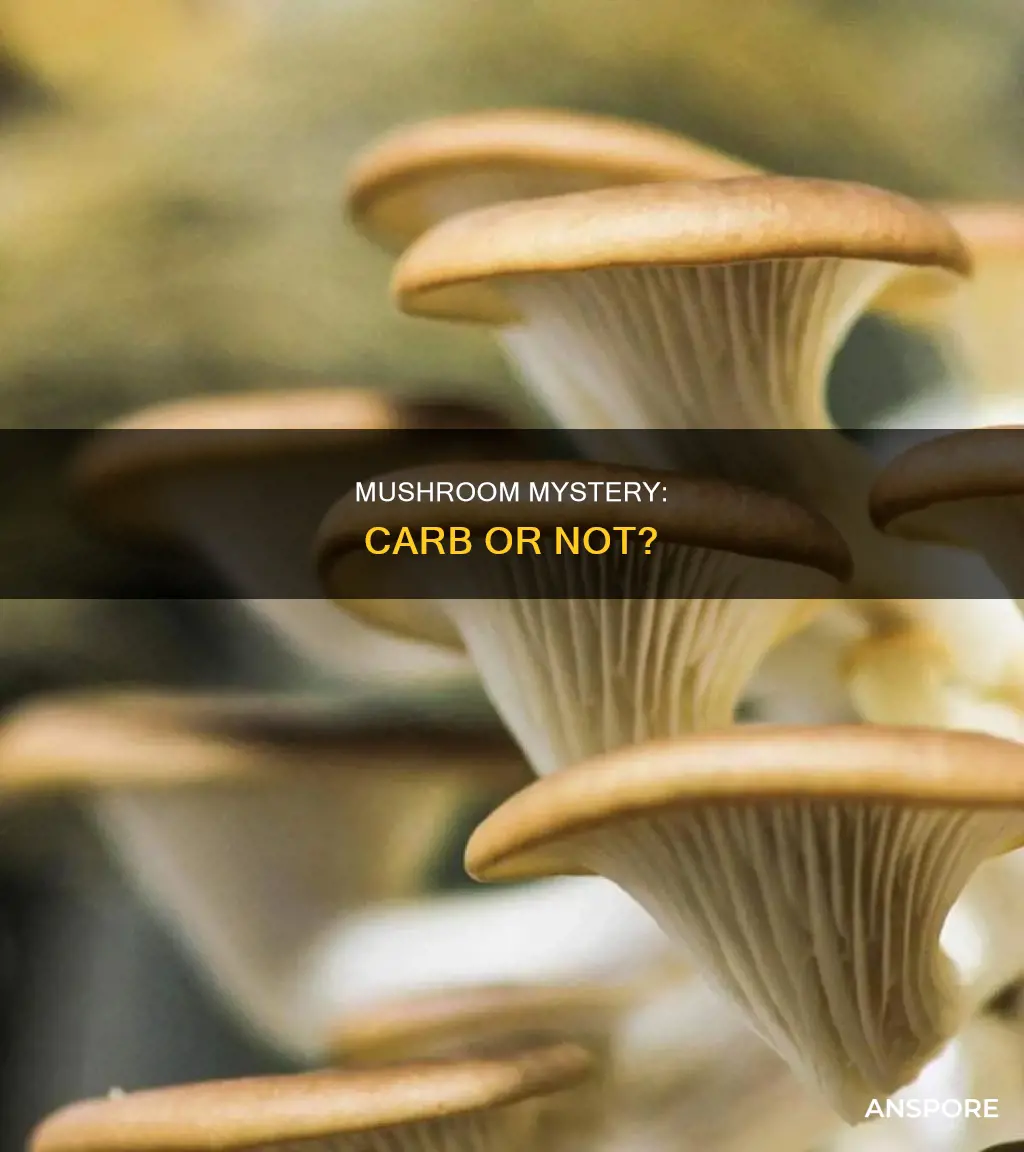 are mushrooms a carb