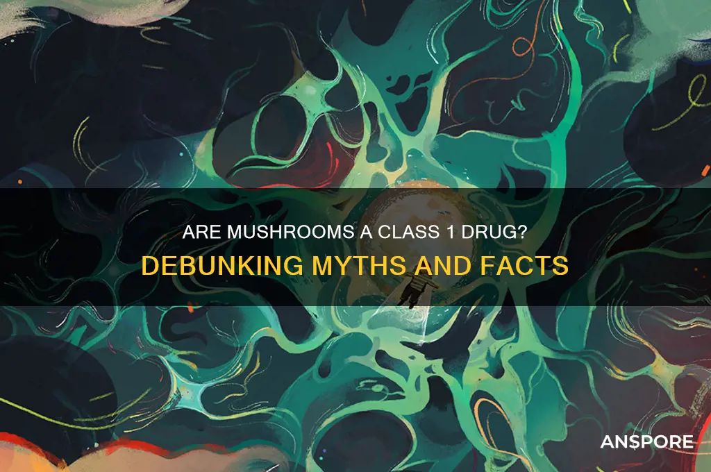 are mushrooms a class 1 drug