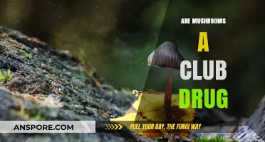 Mushrooms: Club Drug or Not?