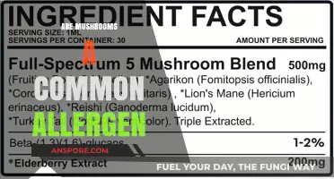 Mushrooms: A Common Allergen?
