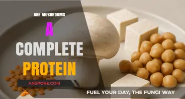 Mushrooms: A Surprising Source of Complete Protein?