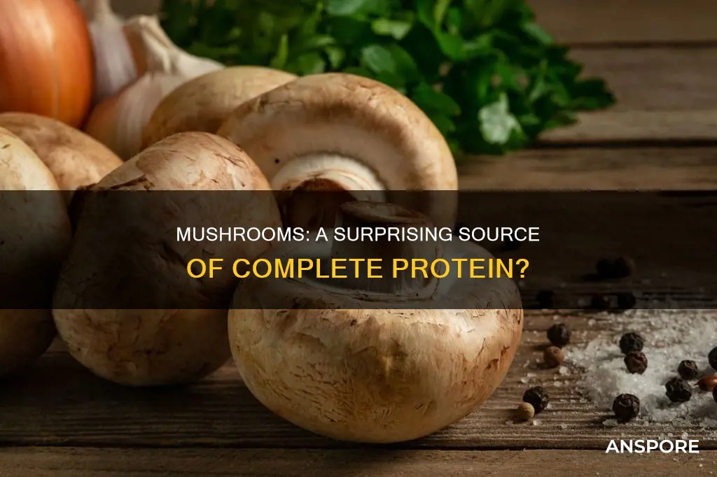 are mushrooms a complete protein