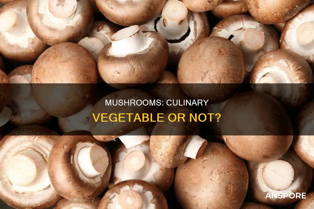 are mushrooms a culinary vegetable