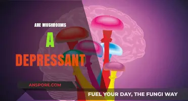 Mushrooms: A Natural Depressant or Stimulant?