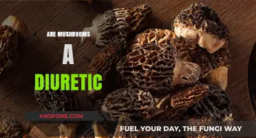 Mushrooms: Natural Diuretic or Myth?