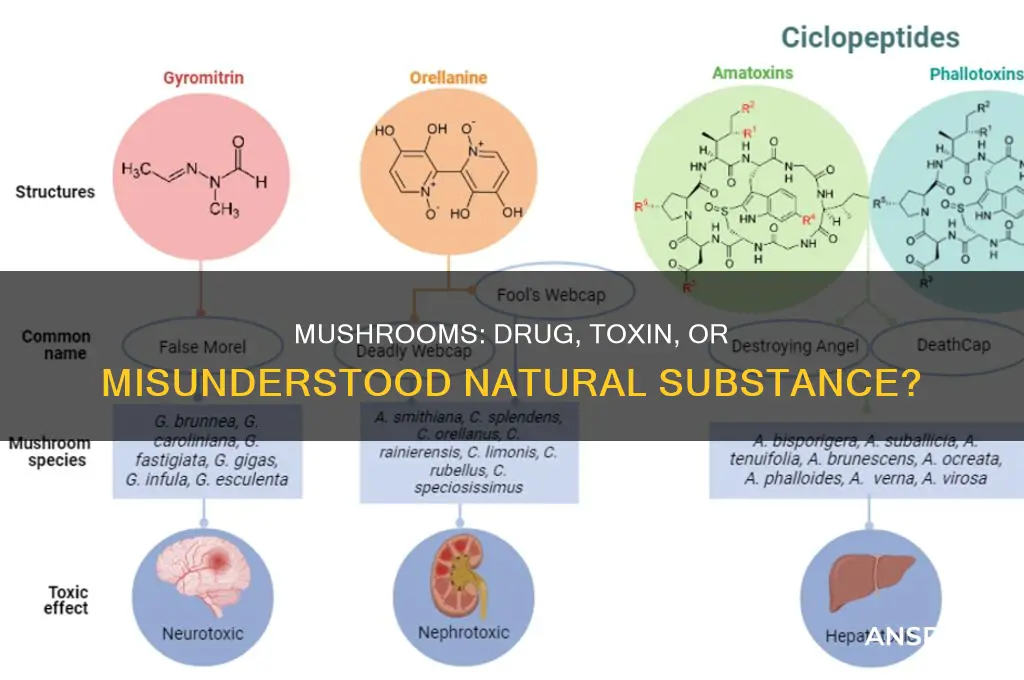 are mushrooms a drug or a toxin