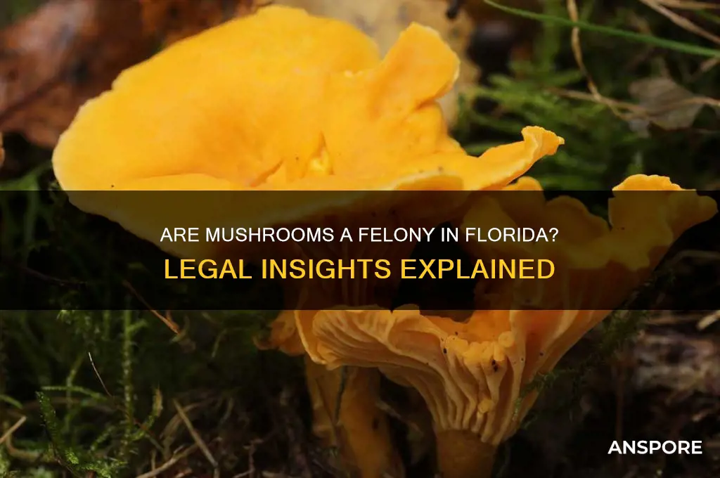 are mushrooms a felony in florida