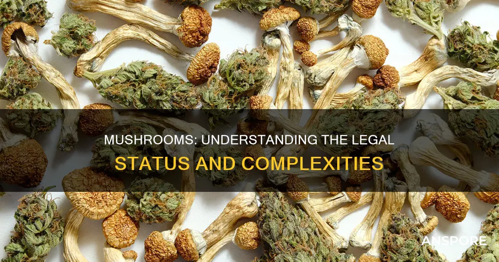 are mushrooms a felony