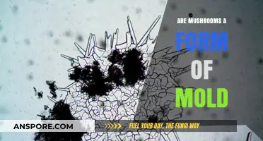 Mushrooms vs. Mold: Unraveling the Fungal Connection and Differences