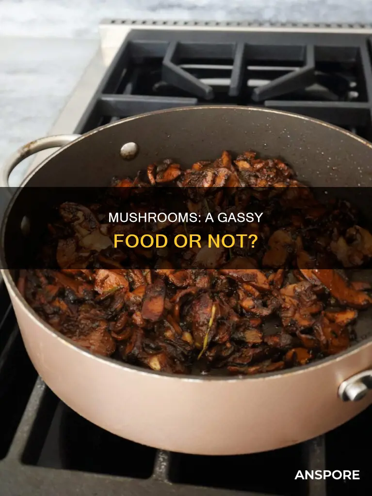 are mushrooms a gassy food