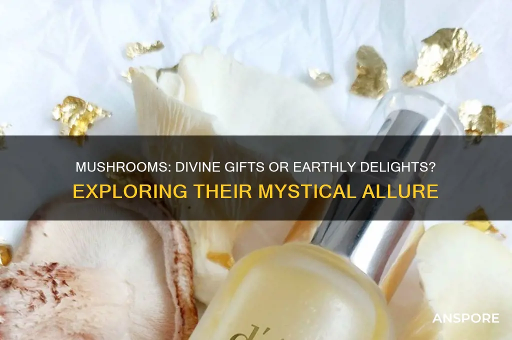 are mushrooms a gift from the gods