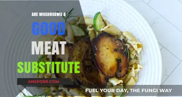 Mushrooms as Meat Substitute: Nutritional Benefits and Culinary Versatility