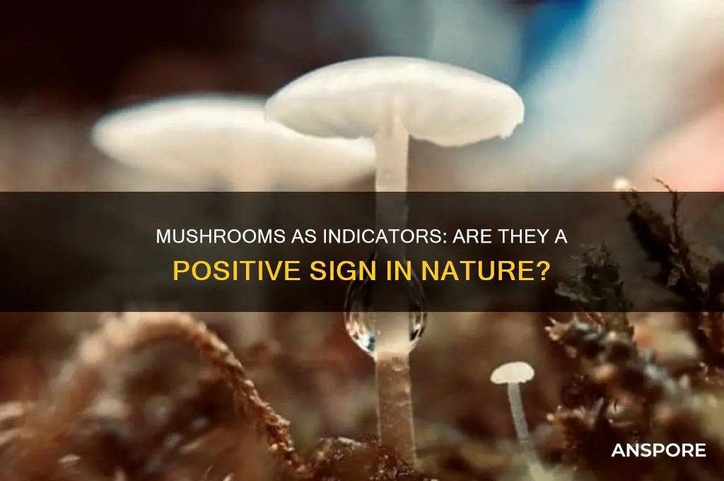 are mushrooms a good sign