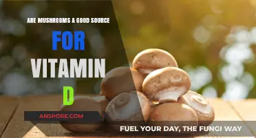 Mushrooms and Vitamin D: Unlocking Sunlight's Nutrient in Fungi
