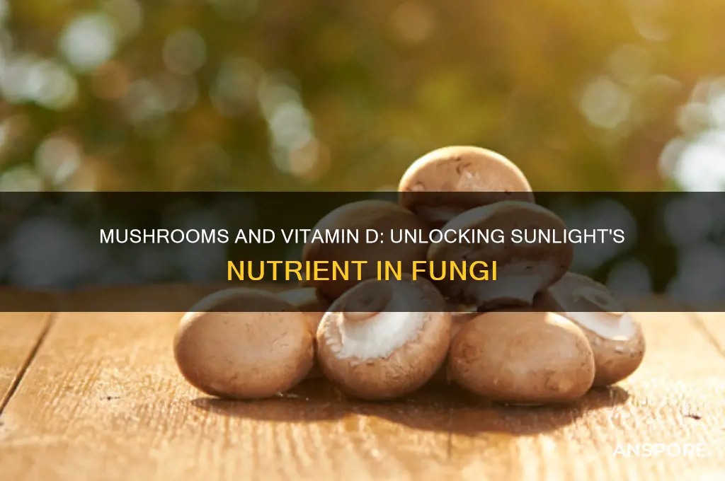 are mushrooms a good source for vitamin d