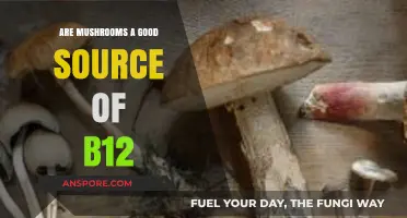 Mushrooms and Vitamin B12: Uncovering Their Nutritional Value and Benefits