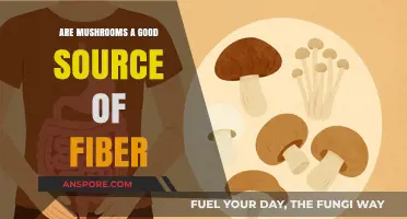 Mushrooms and Fiber: Unlocking Their Digestive Health Benefits