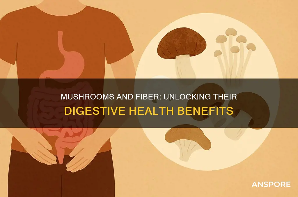 are mushrooms a good source of fiber