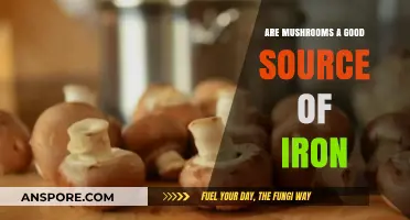 Mushrooms and Iron: Unveiling Their Nutritional Benefits and Health Value