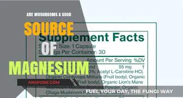 Mushrooms and Magnesium: Unveiling Their Nutritional Benefits and Value