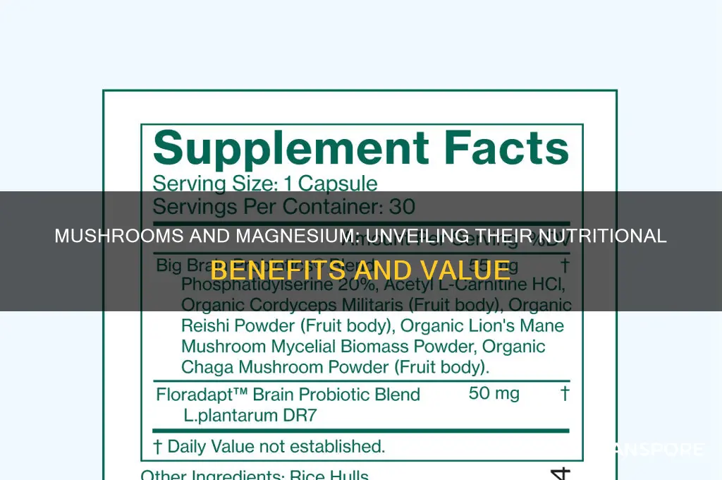 are mushrooms a good source of magnesium