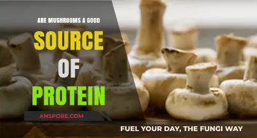 Mushrooms as Protein: Unveiling Their Nutritional Value and Benefits