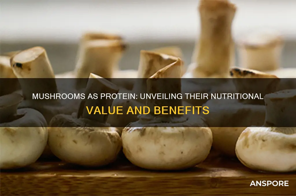 are mushrooms a good source of protein