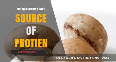 Mushrooms as Protein: Unlocking Their Nutritional Power and Benefits