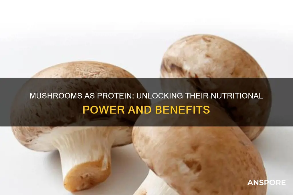 are mushrooms a good source of protien