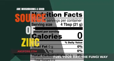 Mushrooms and Zinc: Unveiling Their Nutritional Benefits and Potential