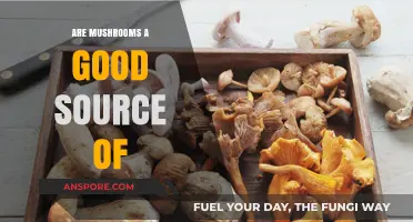 Are Mushrooms a Good Source of Nutrients and Health Benefits?