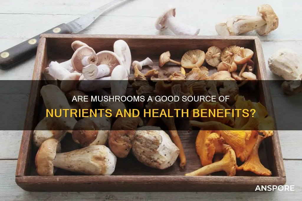 are mushrooms a good source of