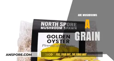 Mushrooms: Are They a Grain or Not?