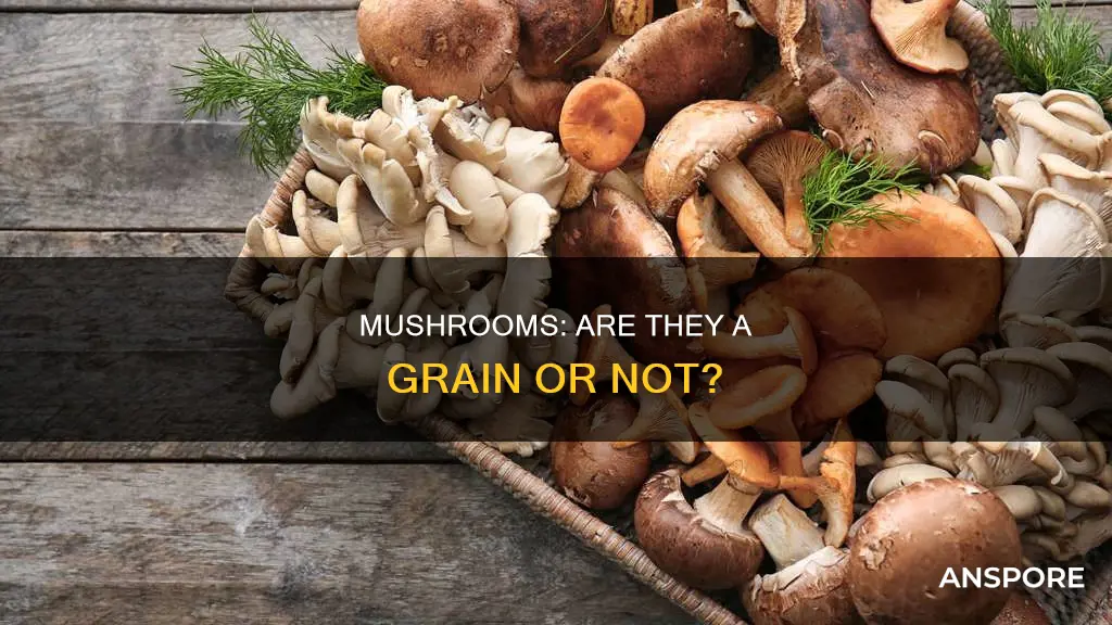are mushrooms a grain