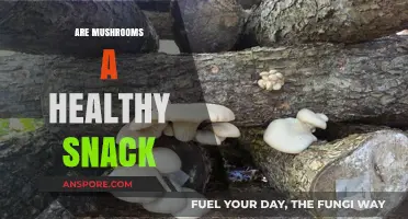 Mushrooms: Healthy Snacking Superfood?