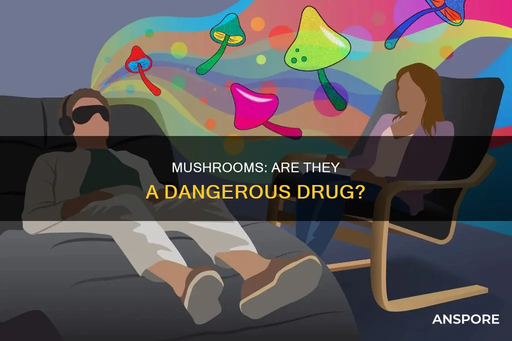 are mushrooms a heavy drug