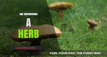 Mushrooms: Herb or Not?