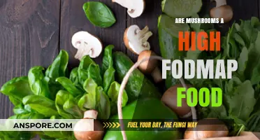Are Mushrooms High FODMAP? A Comprehensive Guide to Gut Health