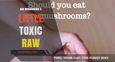 Raw Mushrooms: Are They Slightly Toxic or Safe to Eat?