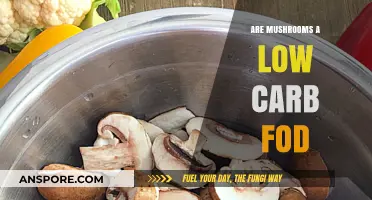 Mushrooms: A Low-Carb, Gut-Friendly Food Option Explained