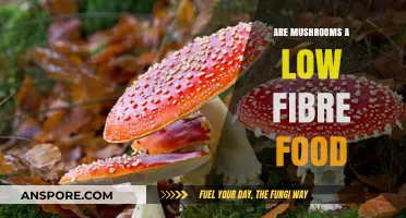 Mushrooms and Fiber: Are They a Low-Fiber Food Choice?