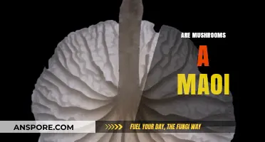 Mushrooms and MAOIs: What's the Link?