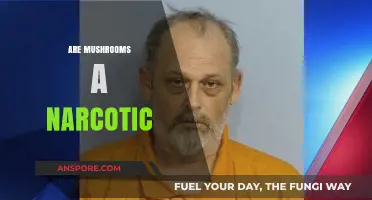 Mushrooms: A Natural Narcotic or Not?