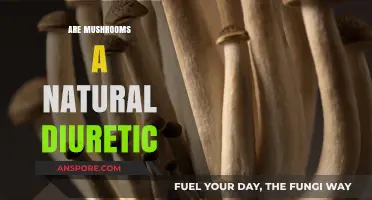 Mushrooms: Natural Diuretic or Myth?