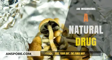 Mushrooms: Nature's Medicine or a Drug?