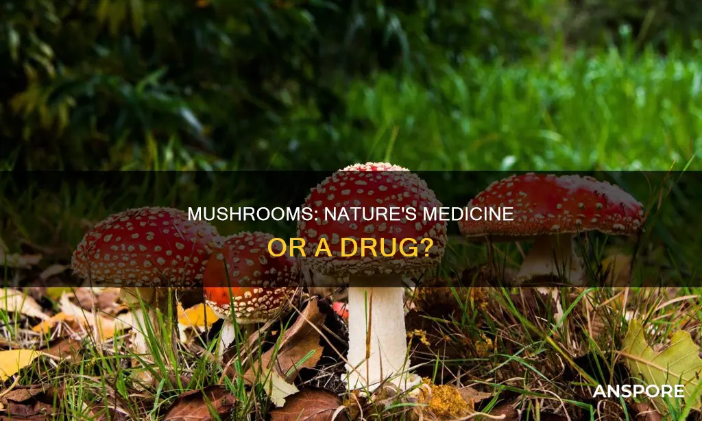 are mushrooms a natural drug