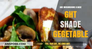 Mushrooms: A Delightful, Earthy Shade Vegetable Worth Exploring